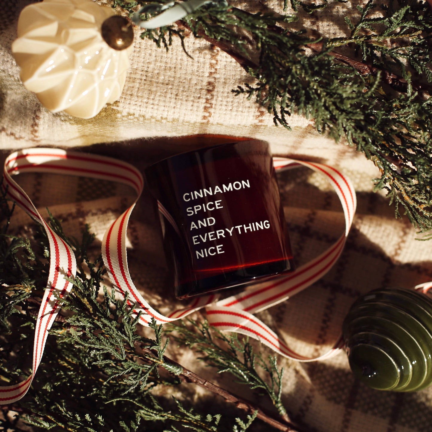 Sweet Cinnamon Roasted Pumpkin 10 oz Candle by Sin-Min